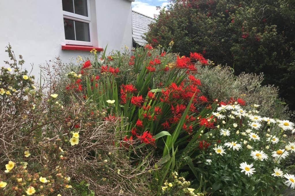 Red Stonecutters Cottage, Doolin Carrowauff Екстериор снимка